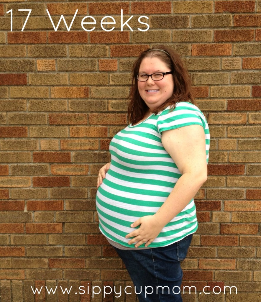 Pregnancy Update: 17 Weeks with Twins - Sippy Cup Mom