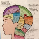 What’s Really Going On Inside a Toddler’s Brain