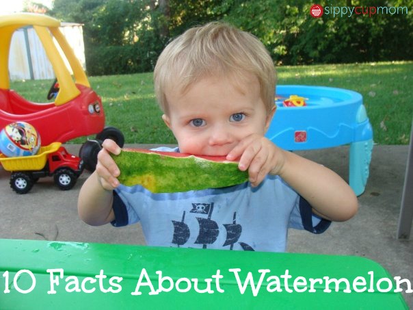 10 Facts About Watermelon