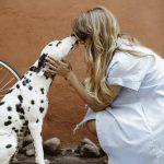 Tips for Getting an Emotional Support Animal