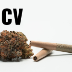 A Brief Overview of the THCV