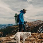 8 Dog Breeds That Make Great Hiking Partners