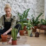 Plant Magic Unleashed: 6 Must-Know Tricks to Keep Your Indoor Garden Flourishing