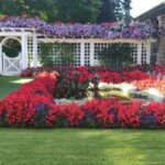 How to Build Beautiful Flower Beds for Your Front Yard