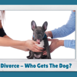 Who Gets the Dogs in a Divorce? Navigating Pet Custody Matters